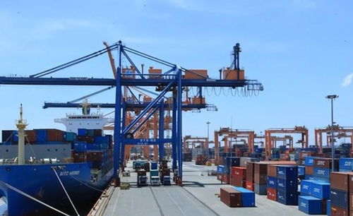 货币保卫战输了 外汇储备见底与巨额债务下的经济困境